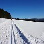 Edel