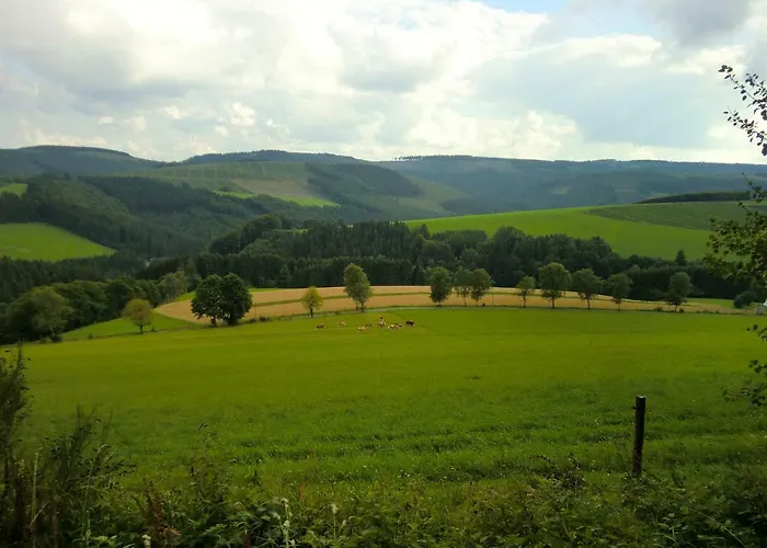 Edel Appartement Schmallenberg